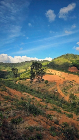 ROBUSTA 87,5 NATURAL INTRA-FRUIT FERMENTATION