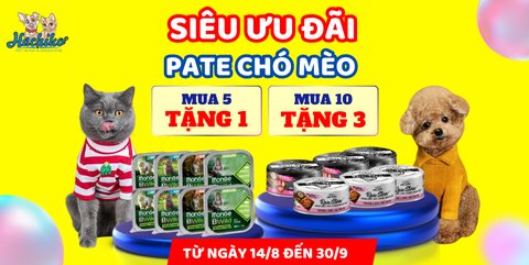 Ưu Đãi Khủng - Tiết Kiệm Đến 35%