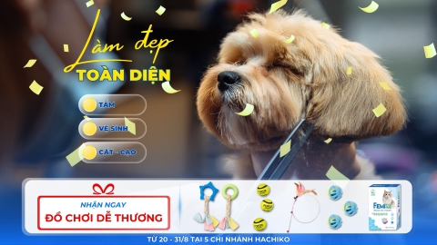 🐾 Cho boss một buổi spa sạch, khỏe và còn có quà mang về