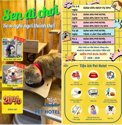 SEN VI VU - BOSS Ở HOTEL XỊN CÒN ĐƯỢC TẮM FREE?