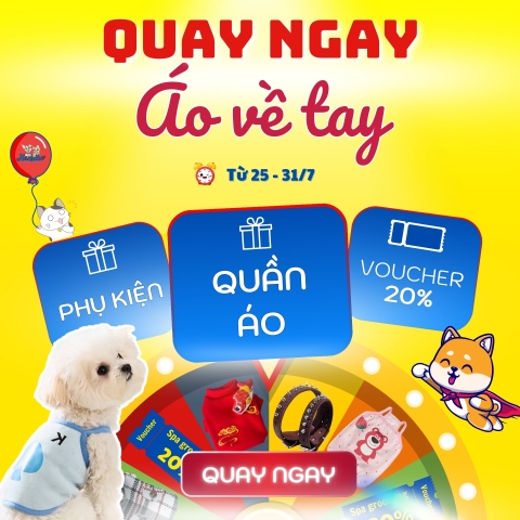 QUAY LÀ CÓ QUÀ - ÁO MỚI VỀ NHÀ VỚI BOSS