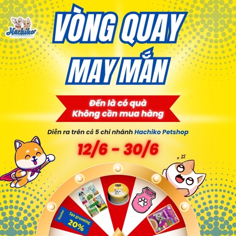 ĐẾN LÀ CÓ QUÀ - QUAY LÀ TRÚNG TẠI HACHIKO