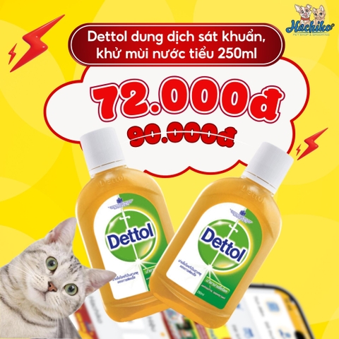 Dung dịch Dettol sát trùng diệt khuẩn chai 250ml