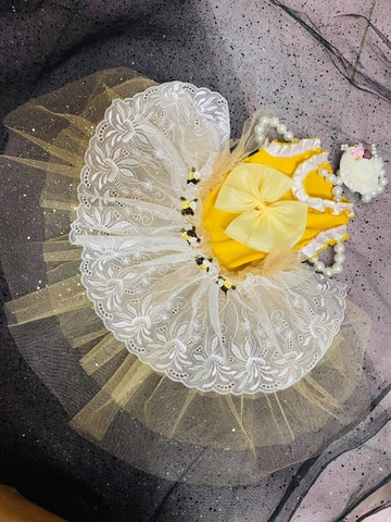 Đầm xòe thiết kế 4-5kg