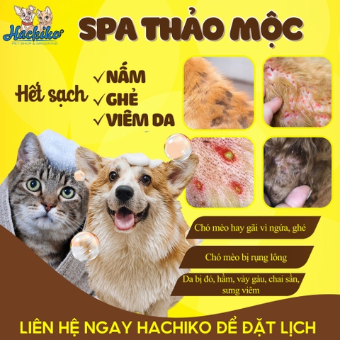 Combo Tắm - Cạo thảo mộc trọn gói cho Chó