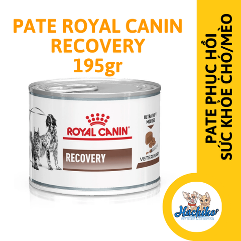 Pate/ Thức ăn ướt dành cho Chó Mèo phục hồi sức khỏe  Royal Canin Recovery lon 195g