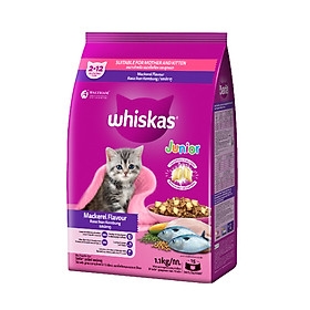 Whiskas Junior Mackerel Flavour 1.1kg (thùng 6gx1.1kg) - Cá thu