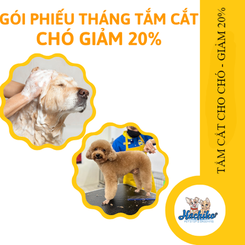 Dịch vụ Tắm Cắt cho Chó - Phiếu tháng giảm 20%