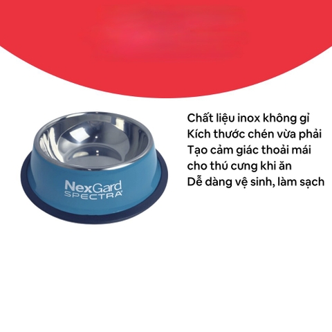 Chén đôi nhựa trong đế bằng 23*13*8cm