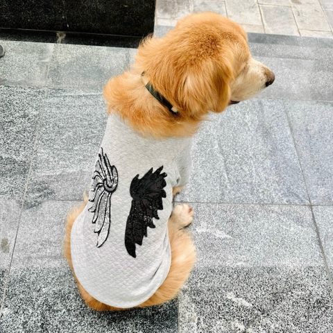 Áo nỉ xám chó to cánh thiên thần 2XL.3XL.4XL.5XL.6XL