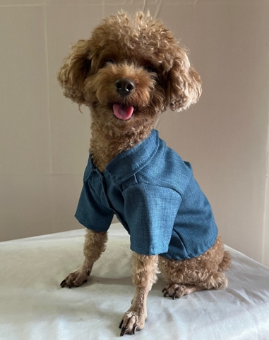 Áo sơ mi thời trang size M/L dành cho Chó