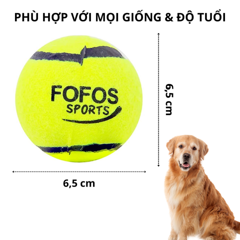 PetQ Combo 2 bóng tennis
