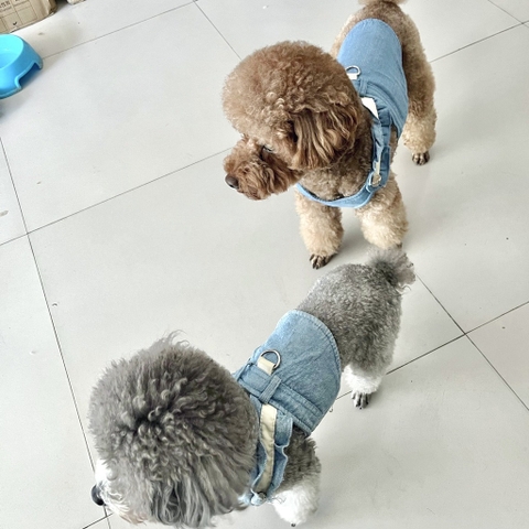 Spet Yếm vải bò kèm dây dắt - L