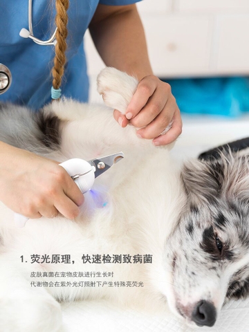 Kềm cắt móng có đèn Led Pake Way cho Chó Mèo