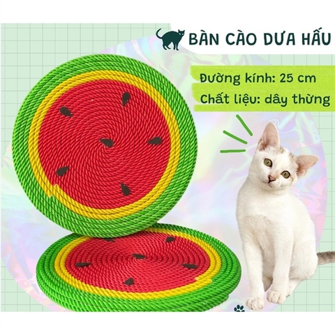 SLC Cây nhà mèo NTC3536