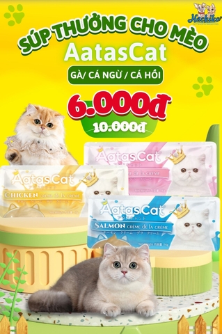 Aatas xốt kem gà/ cá ngừ/ cá hồi 16g