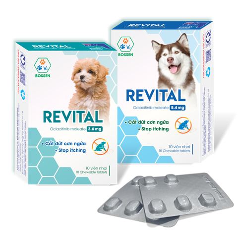 Bossen - Revital 3.6mg viên uống cắt đứt cơn ngứa (4kg-9kg) (đơn giá hộp) 1H10V