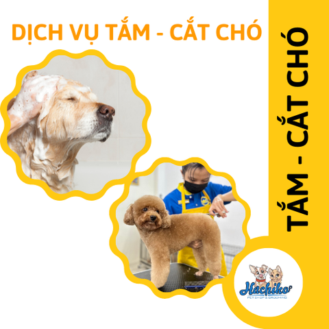 Combo trọn gói Tắm - Cắt cho Chó