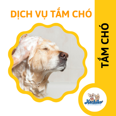 Combo Tắm trọn gói cho Chó