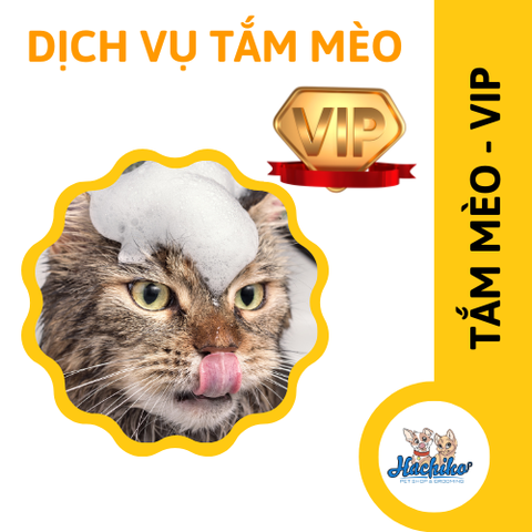 Combo VIP trọn gói Tắm cho Mèo