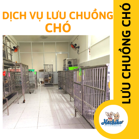 Dịch vụ lưu chuồng cho Chó tại Hachiko