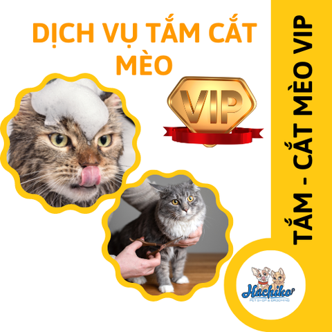Combo VIP trọn gói Tắm - Cắt cho Mèo