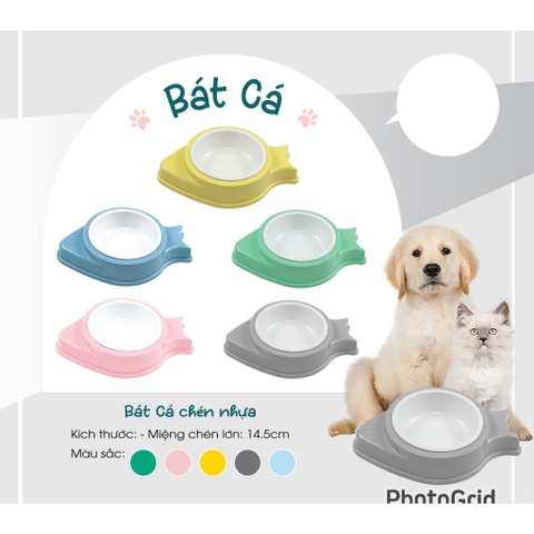 Bát cá đơn chén nhựa