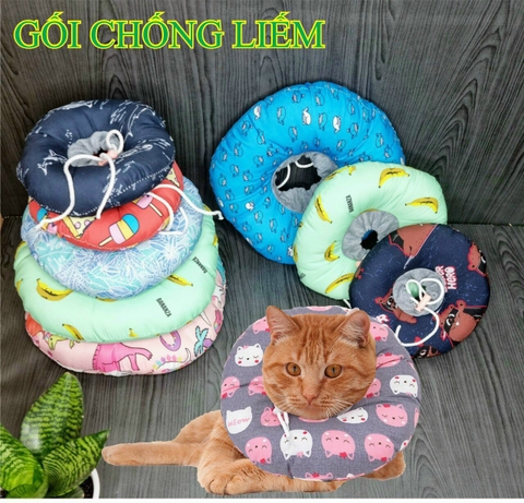 Dia Gối chống liếm cho mèo size 1