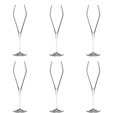 Bộ ly Fantasy Champagne NUDE - 6 cái