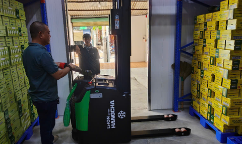 Kho nào bắt buộc nên dùng xe nâng điện pallet đứng lái?