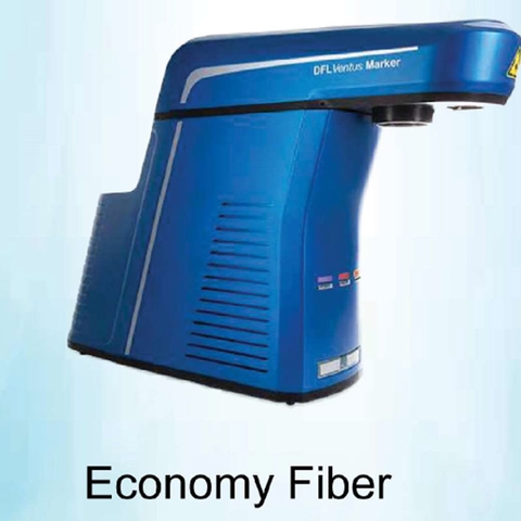 Economy Fiber