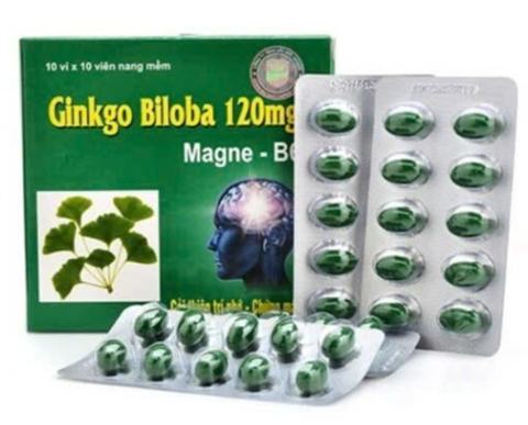 TPBVSK Ginkgo Biloba 120 Thanh Hằng (Hộp 10 vỉ x 10 viên) (T/92H)