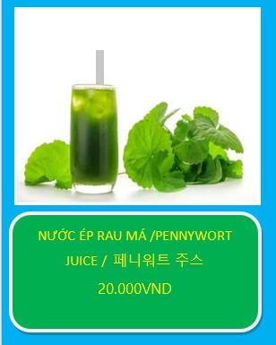 NƯỚC ÉP RAU MÁ /PENNYWORT JUICE /  페니워트 주스