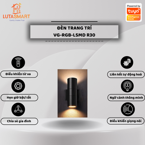 Đèn trang trí VG-RGB-LSMD-R30