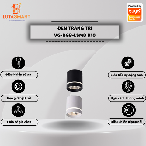 Đèn trang trí  VG-RGB-LSMD-R10