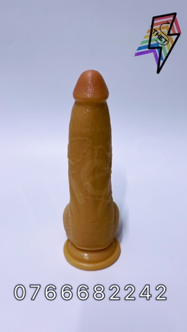 Didol 21cm x 5cm