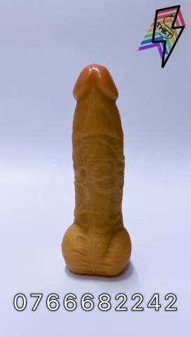 Didol 21cm x 5cm