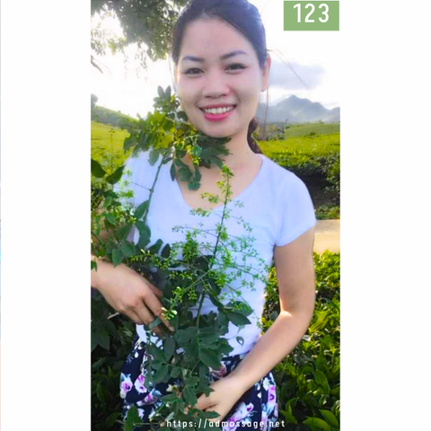 NUMBER 123: MASSAGE AT HOME HA NOI VIETNAM