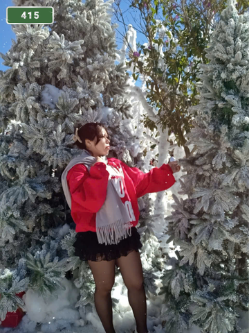 NUMBER 415: MASSAGE IN HOME DALAT (at home, apartment, hotel…)