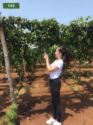 NUMBER 102: MASSAGE AT HOME HANOI (at home, apartment, hotel…)