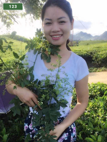 NUMBER 123: MASSAGE AT HOME HA NOI VIETNAM