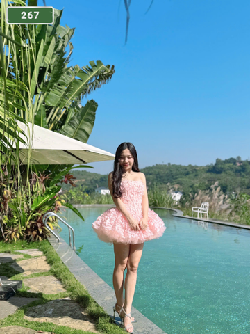 NUMBER 267: HOME MASSAGE HA NOI CITY (at home, apartment, hotel…)