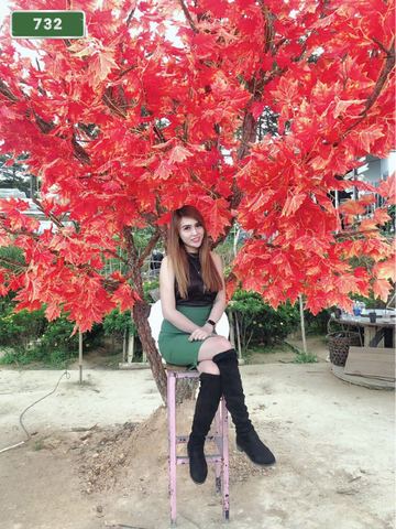 NUMBER 732: IN HOME MASSAGE NHA TRANG (at home, apartment, hotel…)