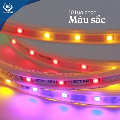 ĐÈN LED DÂY