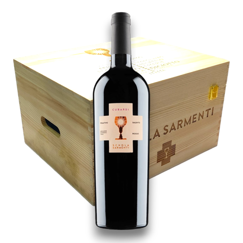 Rượu vang đỏ Ý Cubardi Schola Sarmenti 2020 hộp quà tặng gỗ 6 chai / GCT1