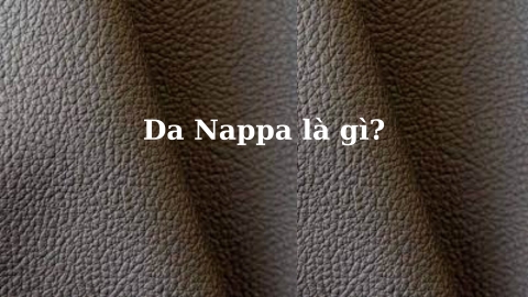 Tìm hiểu thuật ngữ Da Nappa là gì?