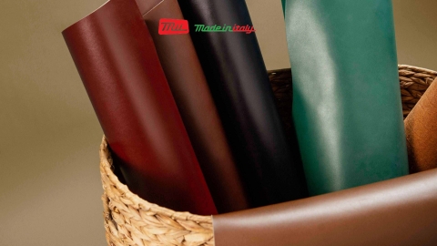 QUY TRÌNH THUỘC DA ITALY (Ý)