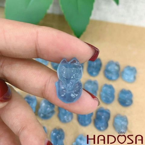 Hồ Ly ôm hoa Aquamarine 5A