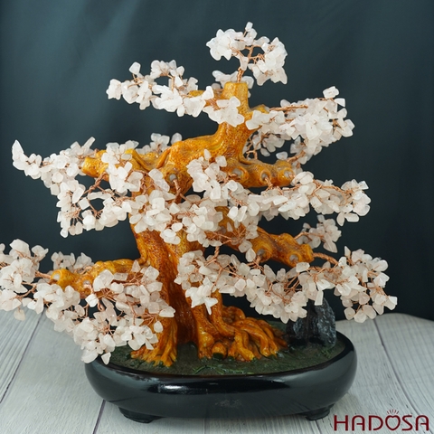 Cây tài lộc Thạch anh hồng 36*20*35cm