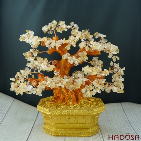 Cây tài lộc thạch anh 28*30cm